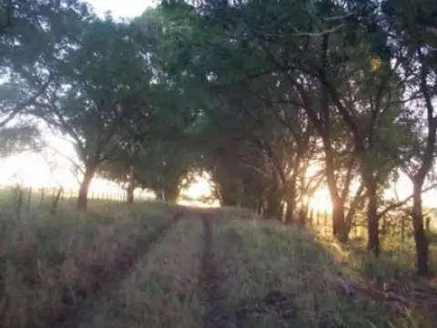 Campo en venta - 4.000.000Mts2 - Guaminí