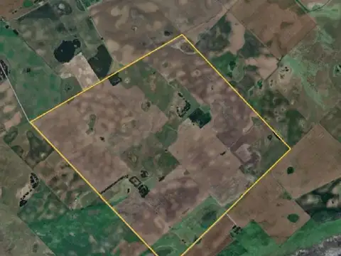 Campo en venta - 4.000.000Mts2 - Guaminí