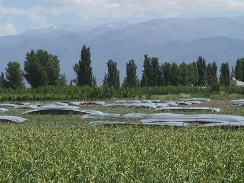 Campo en Venta en La Cañada, San Carlos