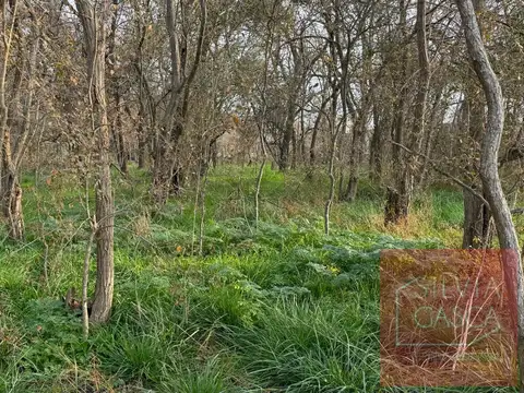 Terreno en Venta en Medal Country club, USD 30.000
