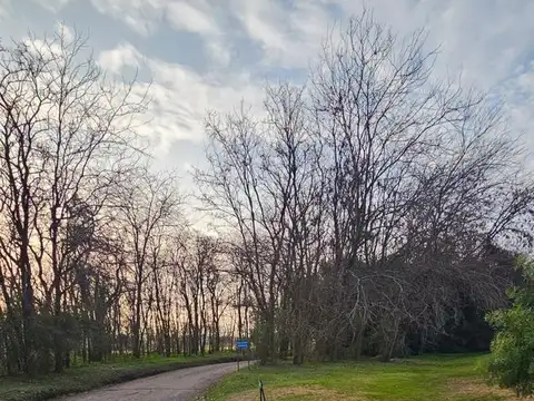 Venta-Terreno en  Pilar Medal Country Club