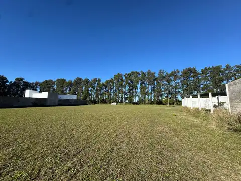 Terreno en Venta de 800,0 m2