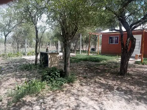 Calle 10 100