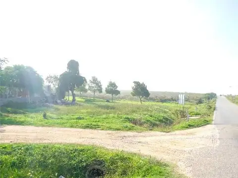TERRENOS/FRACCIONES/LOTEOS - TERRENOS - BALNEARIOS