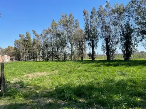 LOS CASTAÑOS Y EL JACARANDA MANZ 105 LOTE 1