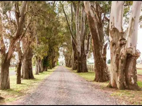 Ruta 4