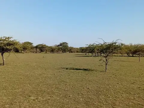 Paraje Saladero 100