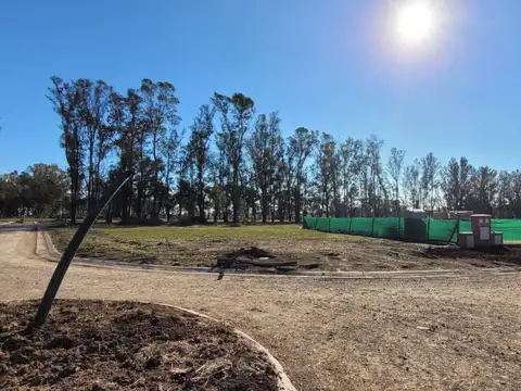 Pilar del Este Santa Sofia