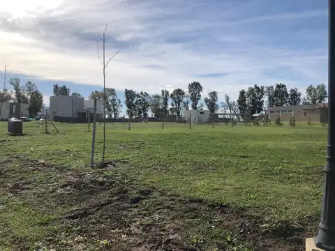 Terreno Lote  en Venta ubicado en Santa Lucia, Pilar del Este, Pilar