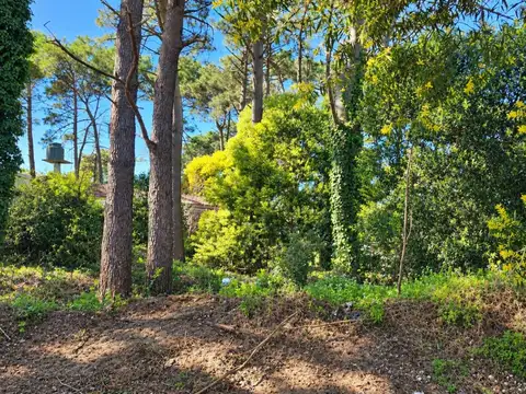 Terreno en Venta en Ostende, Partido de Pinamar