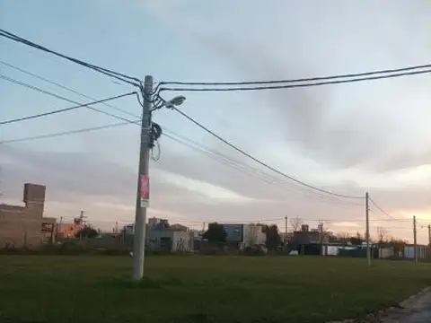 Rastras y Tranqueras-LOTE 1