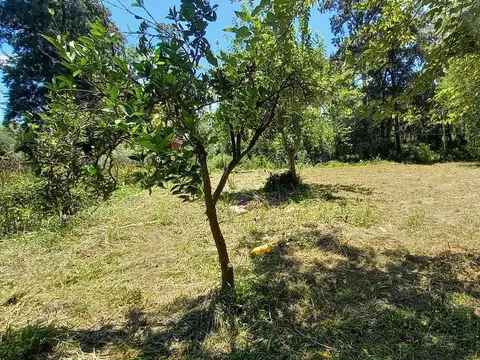 Rio / Arroyo Espera Parcela 100