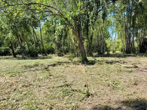 Rio / Arroyo Espera Parcela 100