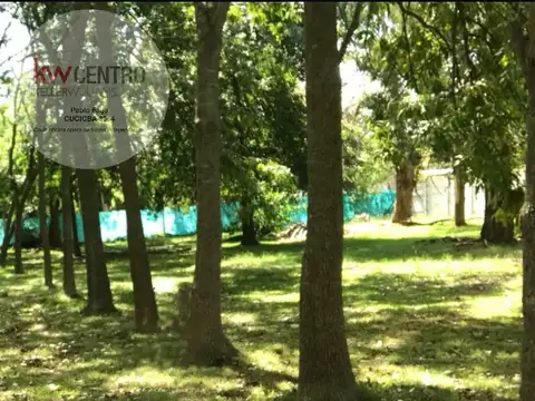 Bosques de San Vicente , calle Mitre entre La Pampa y Segundo Sombra