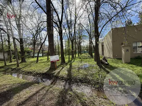 Bosques de San Vicente , calle Mitre entre La Pampa y Segundo Sombra