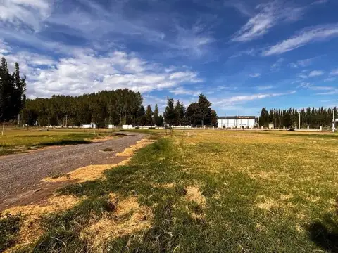 Terreno en Venta en Villa Regina, USD 46.000