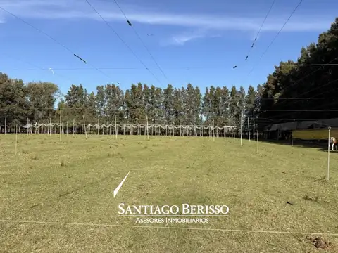 Chacra en Los Cardales