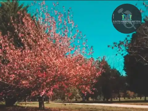 Terreno en Venta de 2019,0 m2