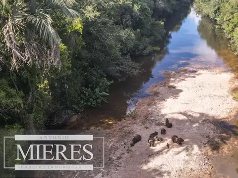 Campo de 19 ha al norte de José Ignacio con arroyo 
