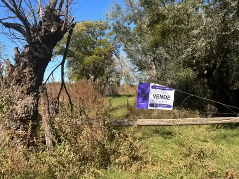 CAMPO/CHACRA DE 10 HECTAREAS A LA VENTA EN MERCEDES