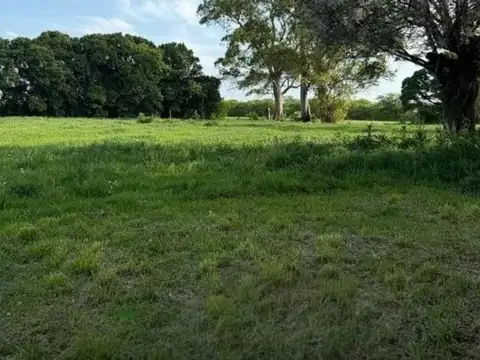 CAMPO/CHACRA DE 10 HECTAREAS A LA VENTA EN MERCEDES