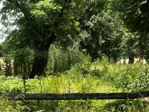 CAMPO/CHACRA DE 10 HECTAREAS A LA VENTA EN MERCEDES