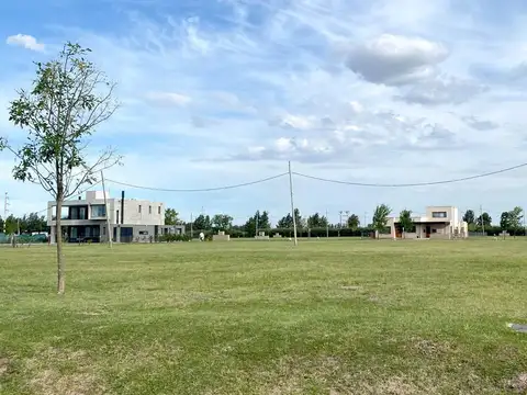 Los Pasos del Jockey 2 Fisherton