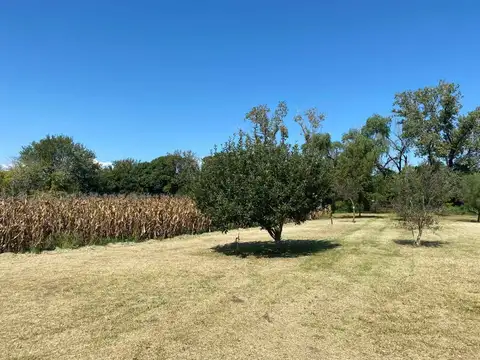 VENTA CAMPO VIRREY DEL PINO 4 HA CON VIVIENDA