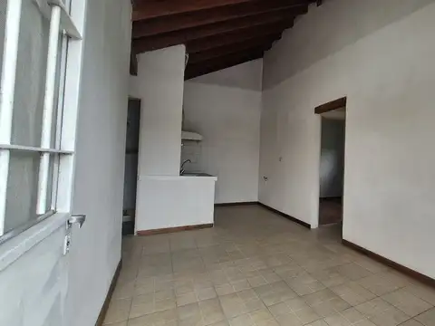 Leonismo Argentino al 300