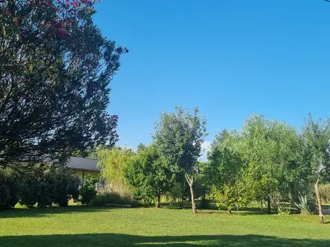 Ruta 11