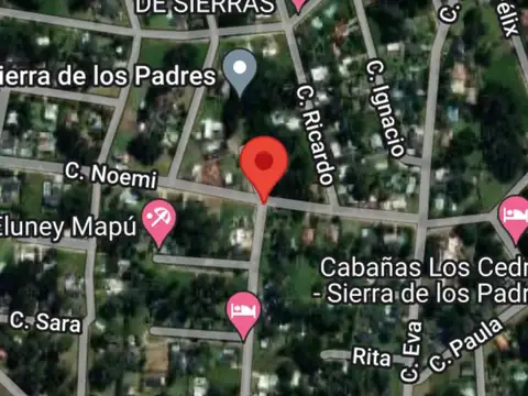Ricardo 100