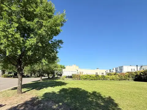 Ayres Plaza 800