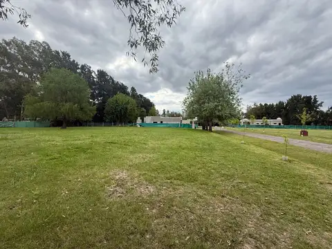 Terreno en Venta de 990,0 m2