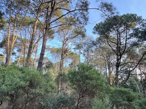 Terreno - Venta - Uruguay, PUNTA BALLENA - lago de Como 2366