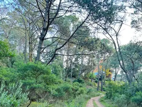 Terreno en Venta en Punta del Este, USD 95.000