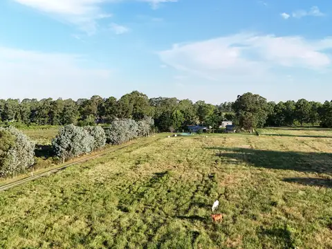 Terreno en Venta en Villa Parque Sicardi, USD 80.000