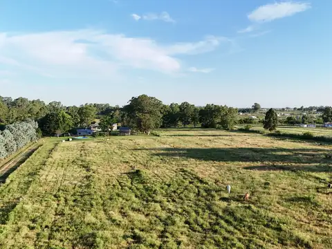 Terreno en Venta de 10000,0 m2