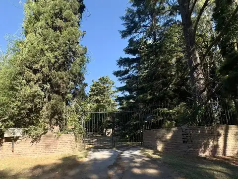 La Elena – Lote con Cabaña Lista para Vivir | Servicios y Es