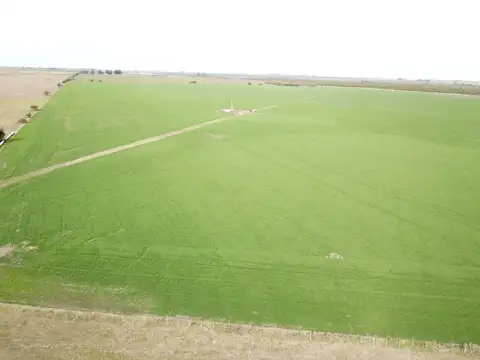 Ruta 14 Gualeguaychú