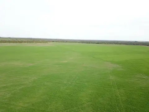 Campo en Venta de 440  ha