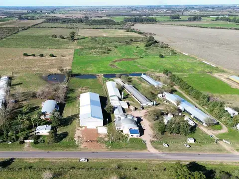 Vendo Galpón sobre Ruta 23, San Justo, Entre Ríos