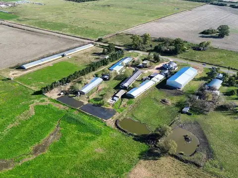 Galpon en Venta en Concepcion del Uruguay, USD 180.000