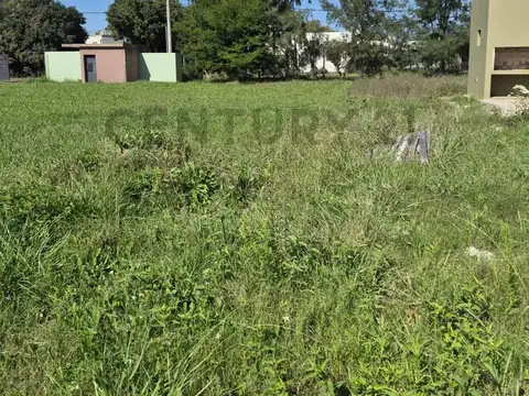 Lote en venta en Arturo Segui