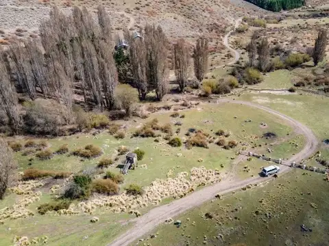 Campo en venta de 212ha ubicado en San Martin de los Andes