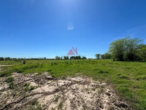 Pilara -El Tilbury 100