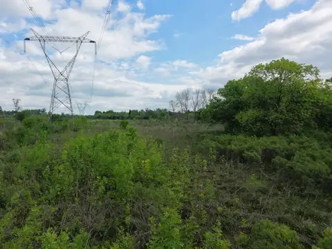 Terreno en Alquiler de 5000,0 m2