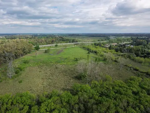 Terreno en Alquiler de 5000,0 m2