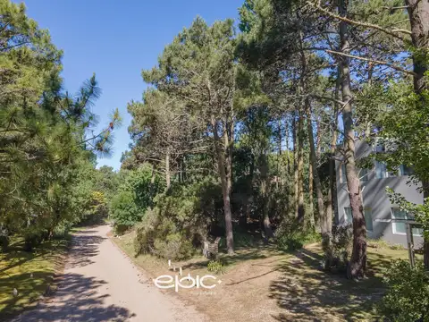 Terreno en Venta 21  mts Frente