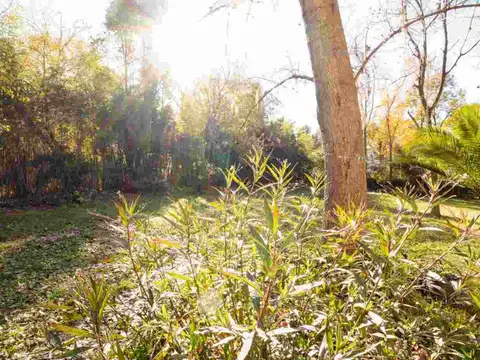 Terreno en Venta en Benavidez, USD 110.000