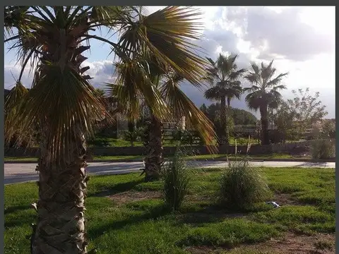 Santa Isabel y Pública , Piso 0
